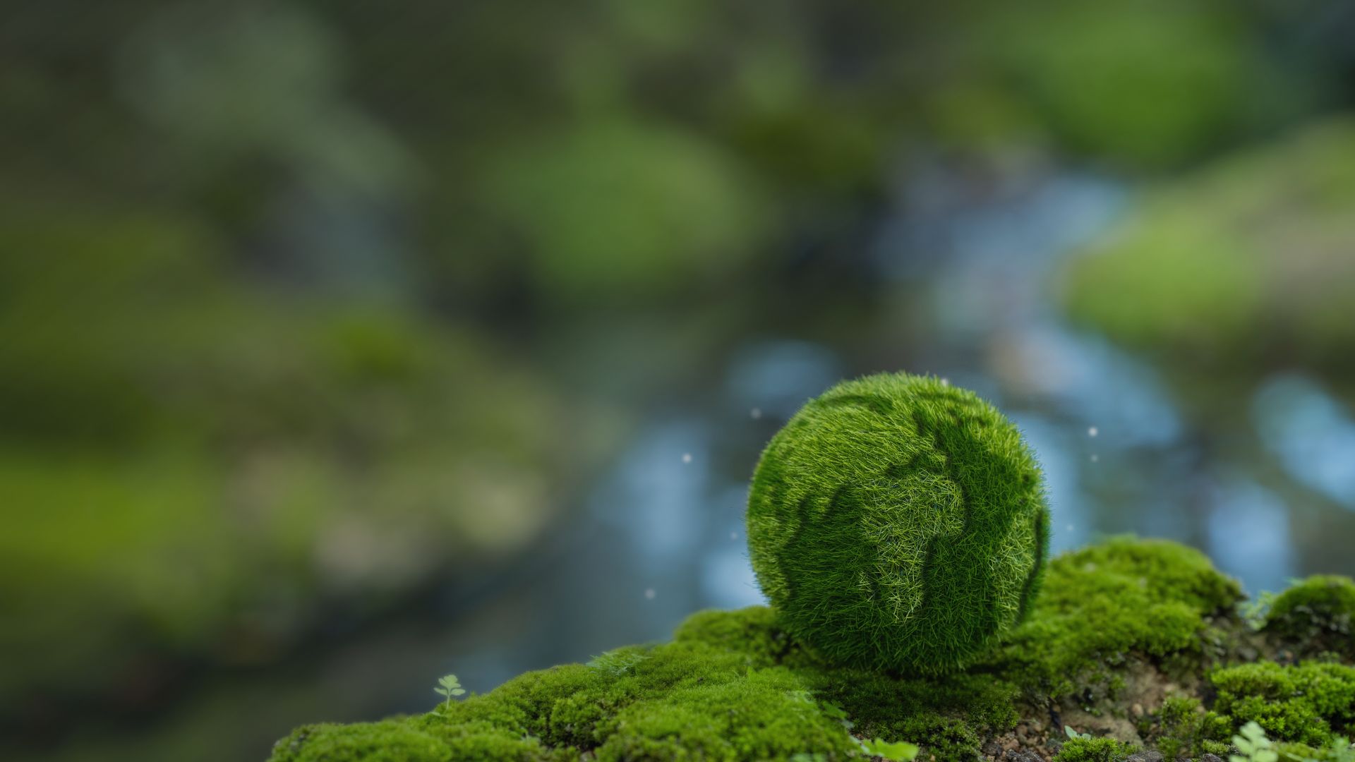 Moss-covered sphere representing environmental carbon credits
